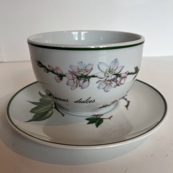 Apilco French Elysian Garden Porcelaine Oversized Breakfast Cup and Saucer - Picture 3 of 15